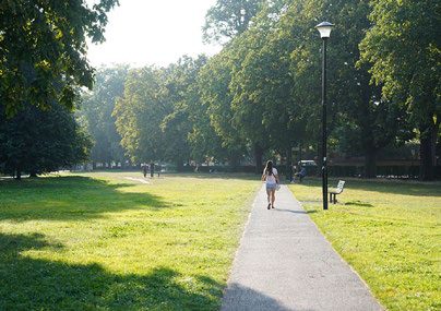 公園綠地