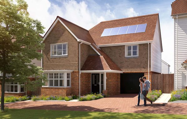 Foal Hurst Green – Meadow Rise