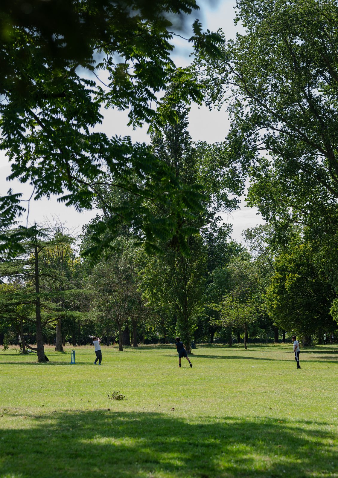 公園草坪區