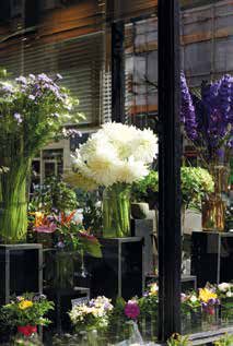 花園景觀